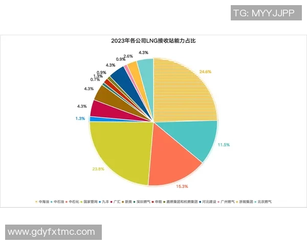 数据分析在液化天然气领域的个人能力提升与表现研究